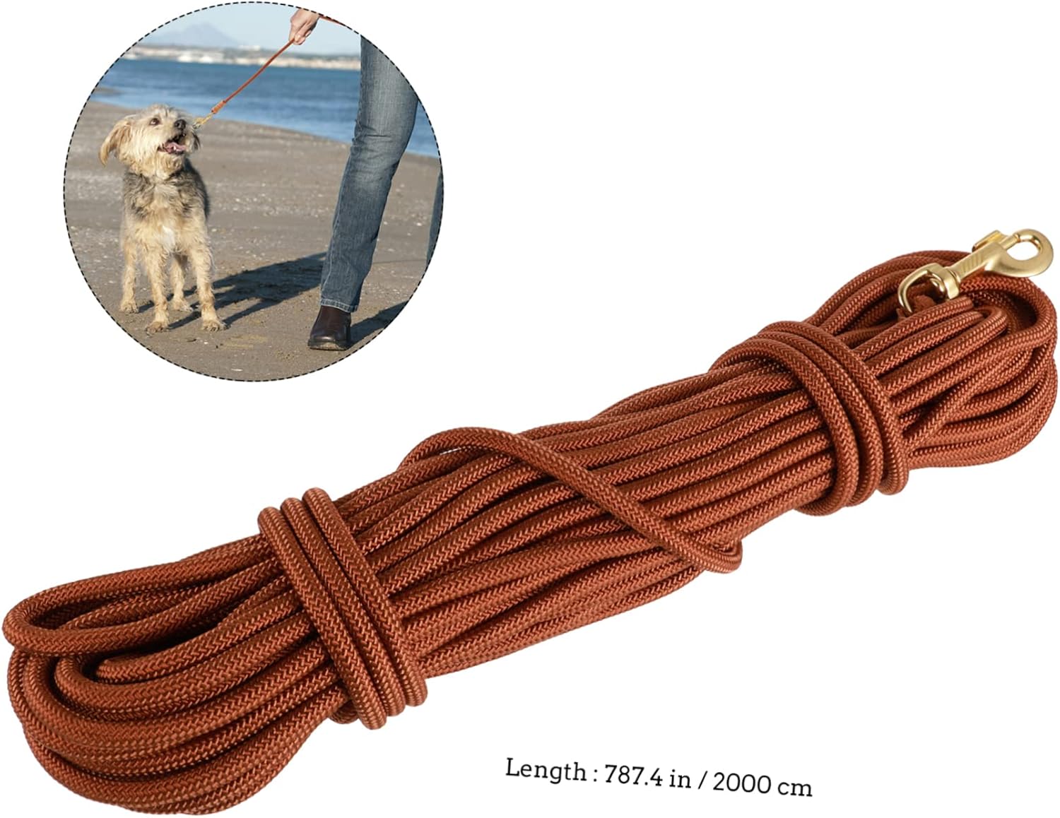Yardwe 20M Heavy Duty Nylon Dog Training Leash Long Rope for Puppies and Dogs Durable and Portable for Outdoor Training and Use