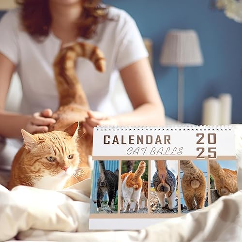 Miniatura 2 de Calendario de pared 2024  Calendario mensual de 12 gatos divertidos 2024, enero 2024  diciembre 2024, divertido calendario de gato, 11.4 x 16.5