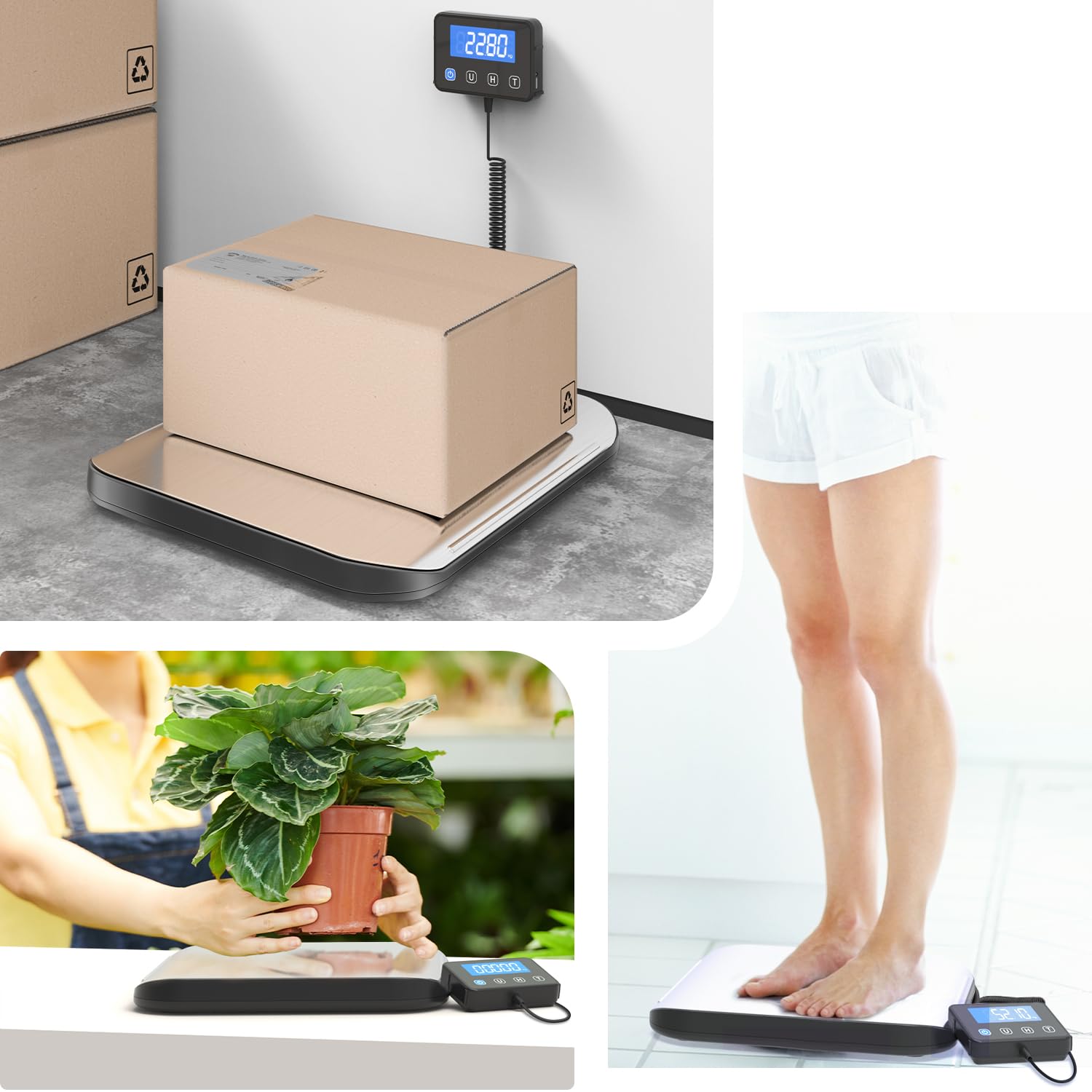 Balance d'expédition 200 kg acier inoxydable pour colis postaux, industrielle