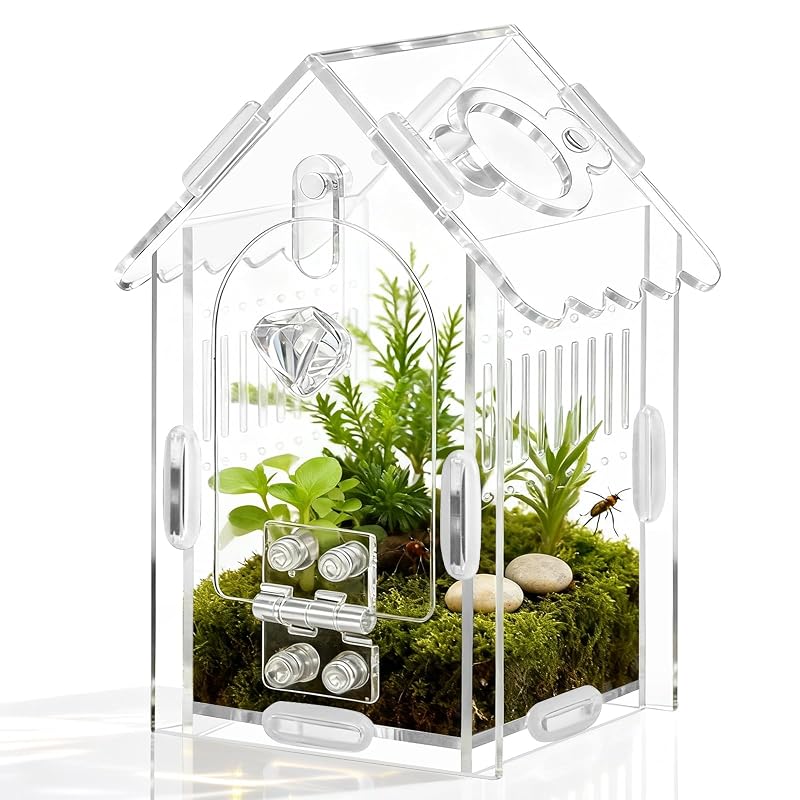 Terrário de Acrílico para Aranhas Saltadoras e Insetos StyEdEk com Porta Magnética Transparente – 1 unidade