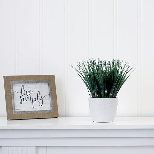 Miniatura 4 de Nearly Natural Planta de césped artificial de 9 pulgadas con maceta decorativa