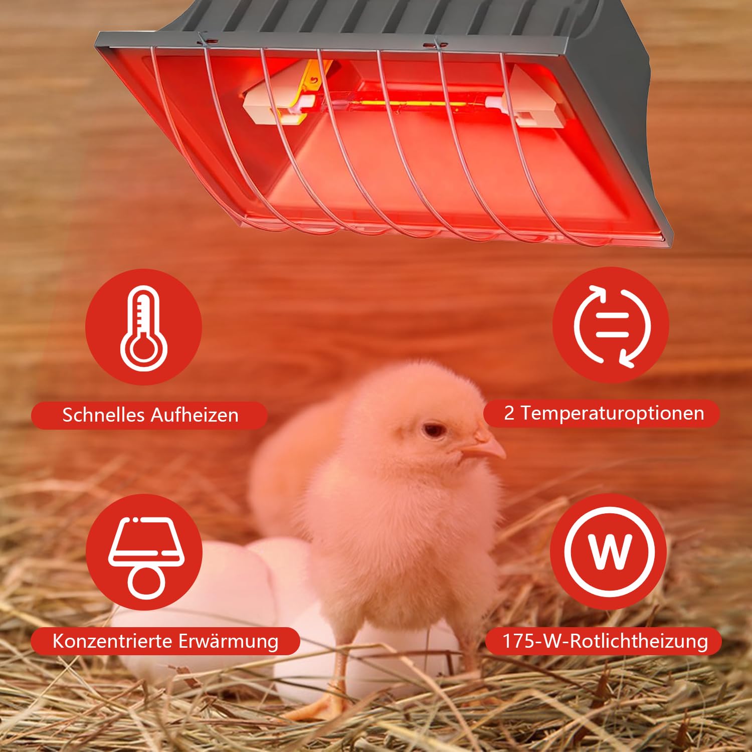 Lampe à lumière rouge pour poussins, maison de volaille, avec interrupteur à économie d'énergie, câble de 1,8 m, lampe infrarouge thermostatique automatique, convient pour poussins, porcelets