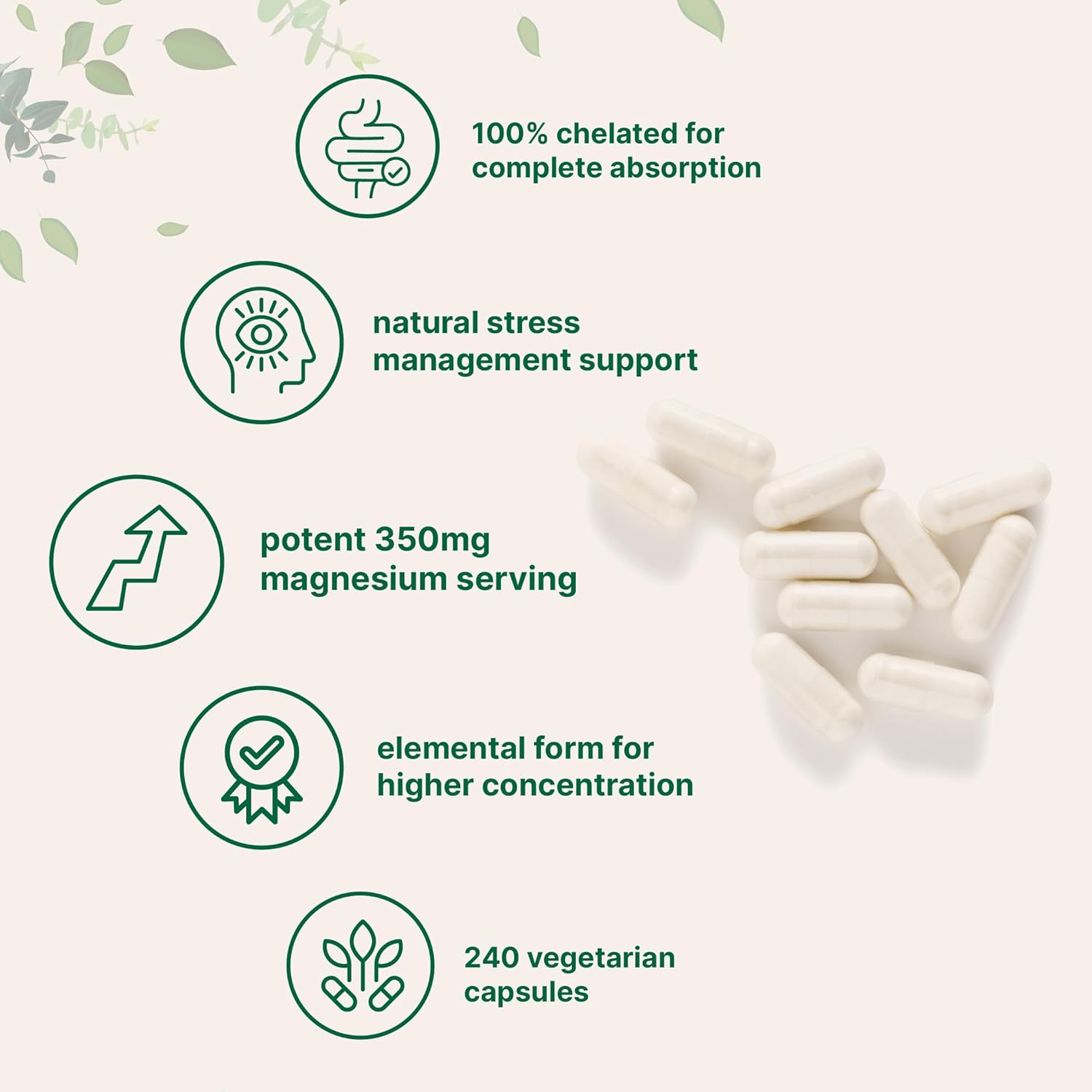 Micro Ingredients Magnesium Glycinate 350mg Per Serving, 240 Veggie Capsules | Potent Elemental Form, 100% Chelated, Highly Bioavailable | Healthy Muscle, Bones, & Mood Support Supplement | Non-GMO - Image 3