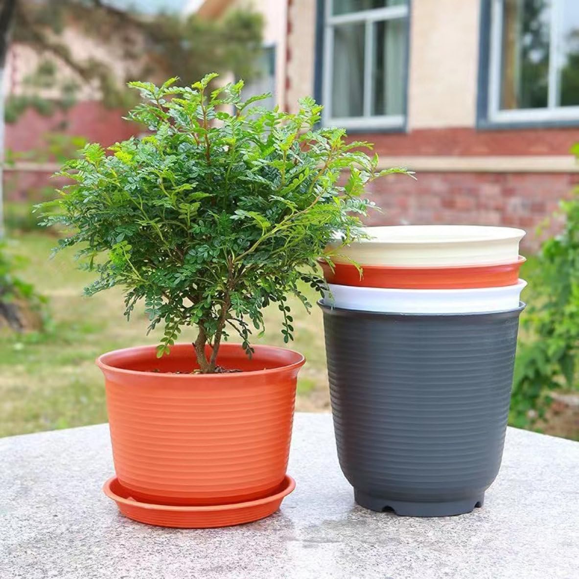 Amazon.co.jp: [ADSNS] 大型 植木鉢 大きい おしゃれ 4 プラスチック