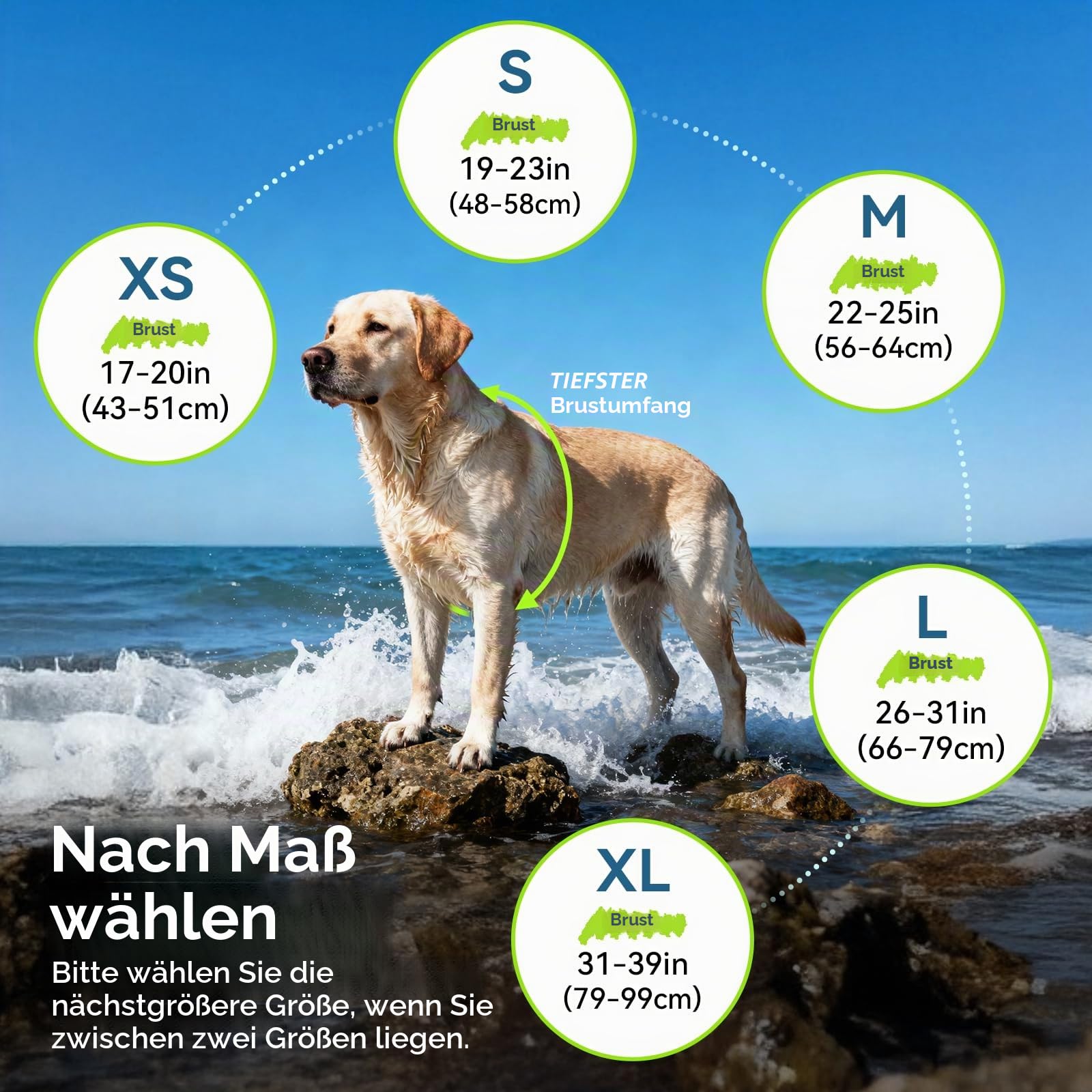 VIVAGLORY Sports Style Hundeschwimmweste, Rettungswesten Für Hunde Bootfahren, Auftrieb & Schwimmhilfe, Schwimmweste, S, Neon-Rosa | Schwimmhilfe mit Leinen-Ring und Griff zum Schwimmen und Bootfahren, reflektierend, verstellbar, für Hunde