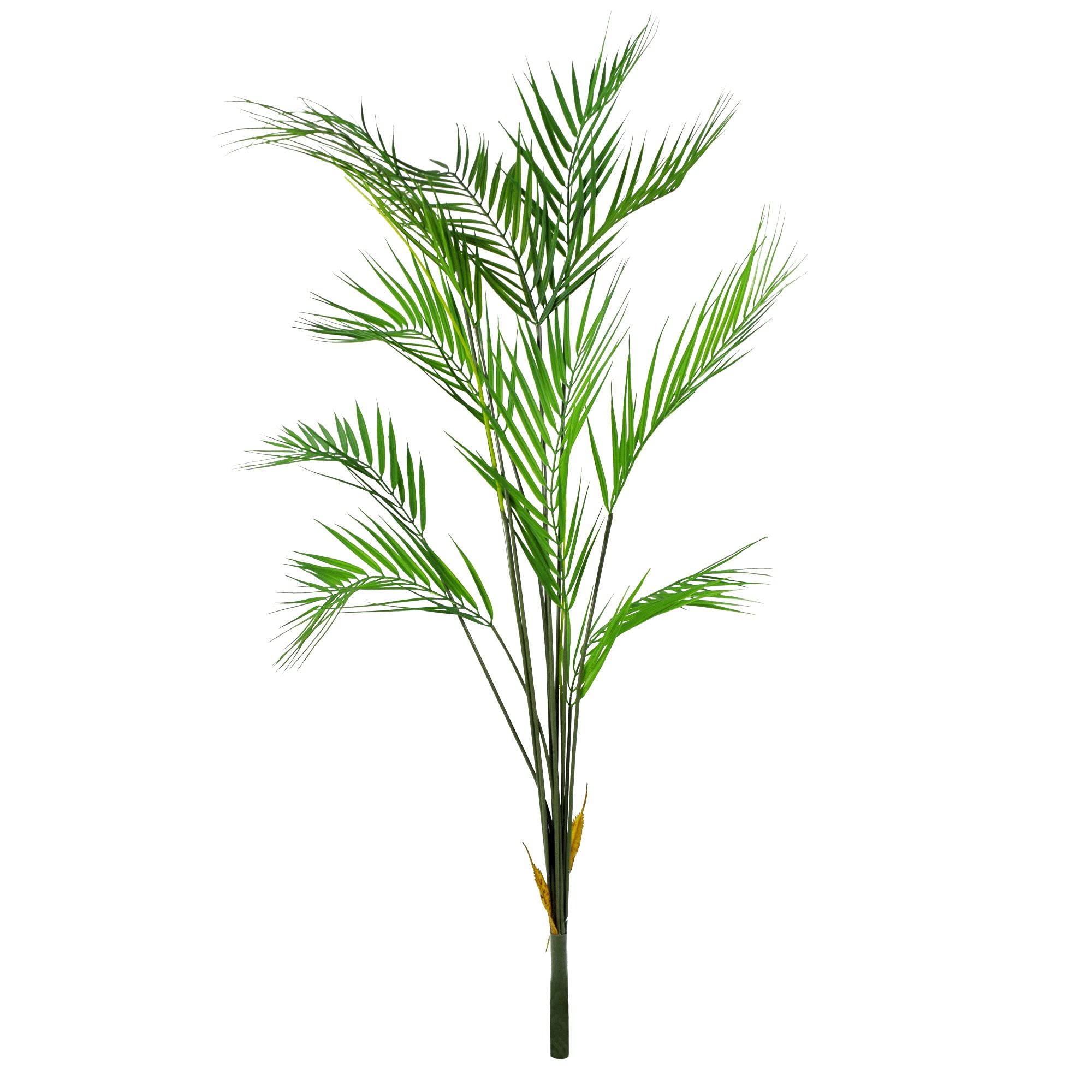 Leaf Design Palm Plants