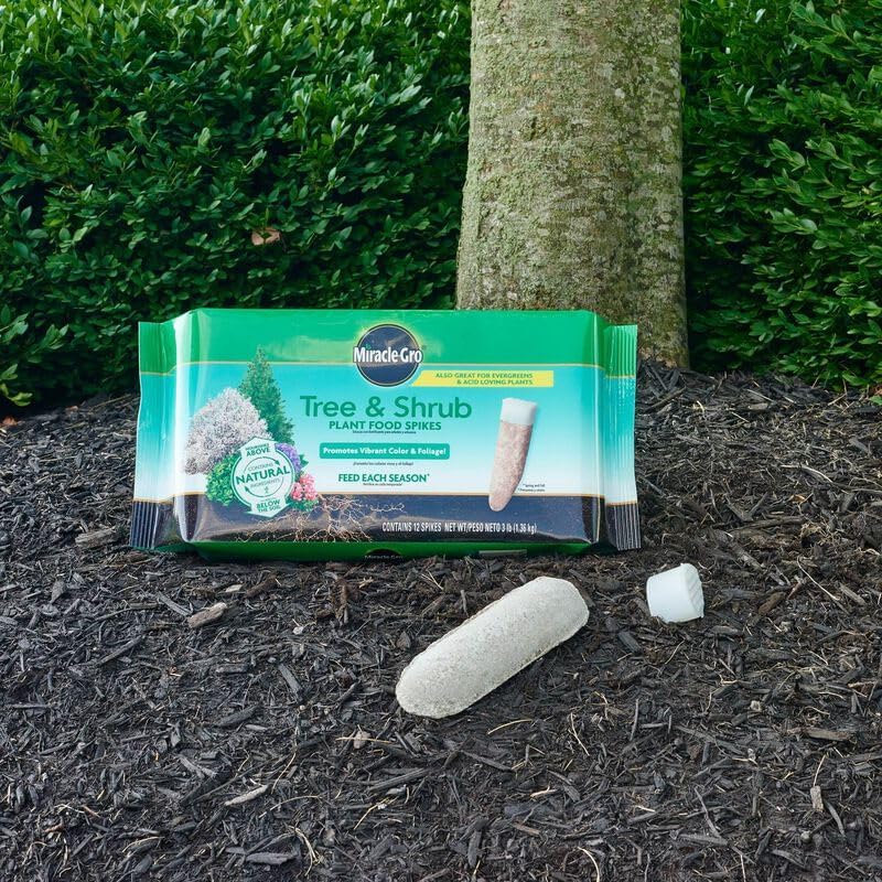 Miniatura 9 de Miracle-Gro - Pinchos para fertilizantes de árbol y arbusto 12 unidades árbol y arbusto Paquete de 1