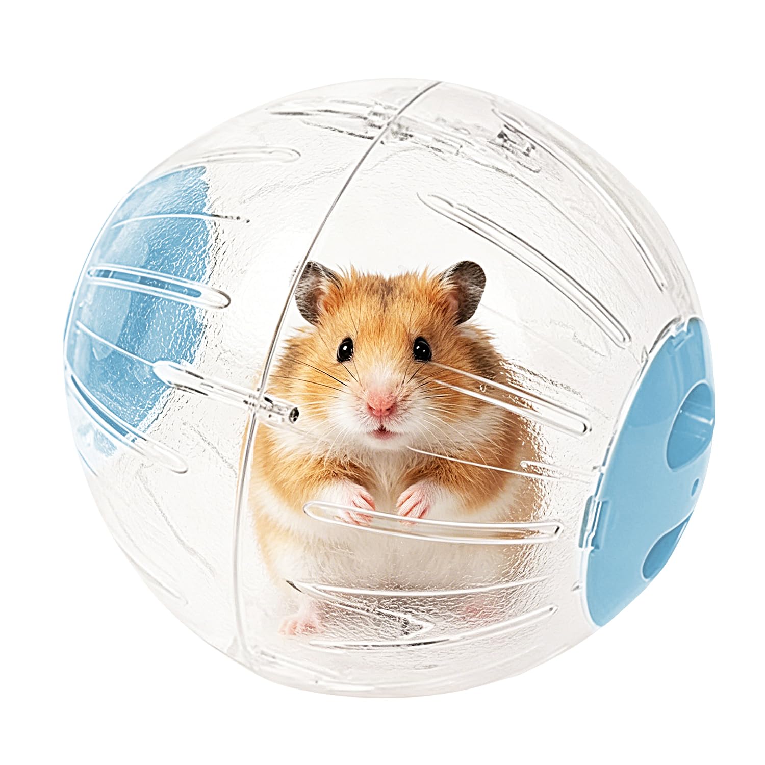 Balle de course transparente pour hamster, 18 cm, pour soulager l'ennui, pour cochon d'Inde, rat, gerbille, hérisson, petits animaux de compagnie, bleu