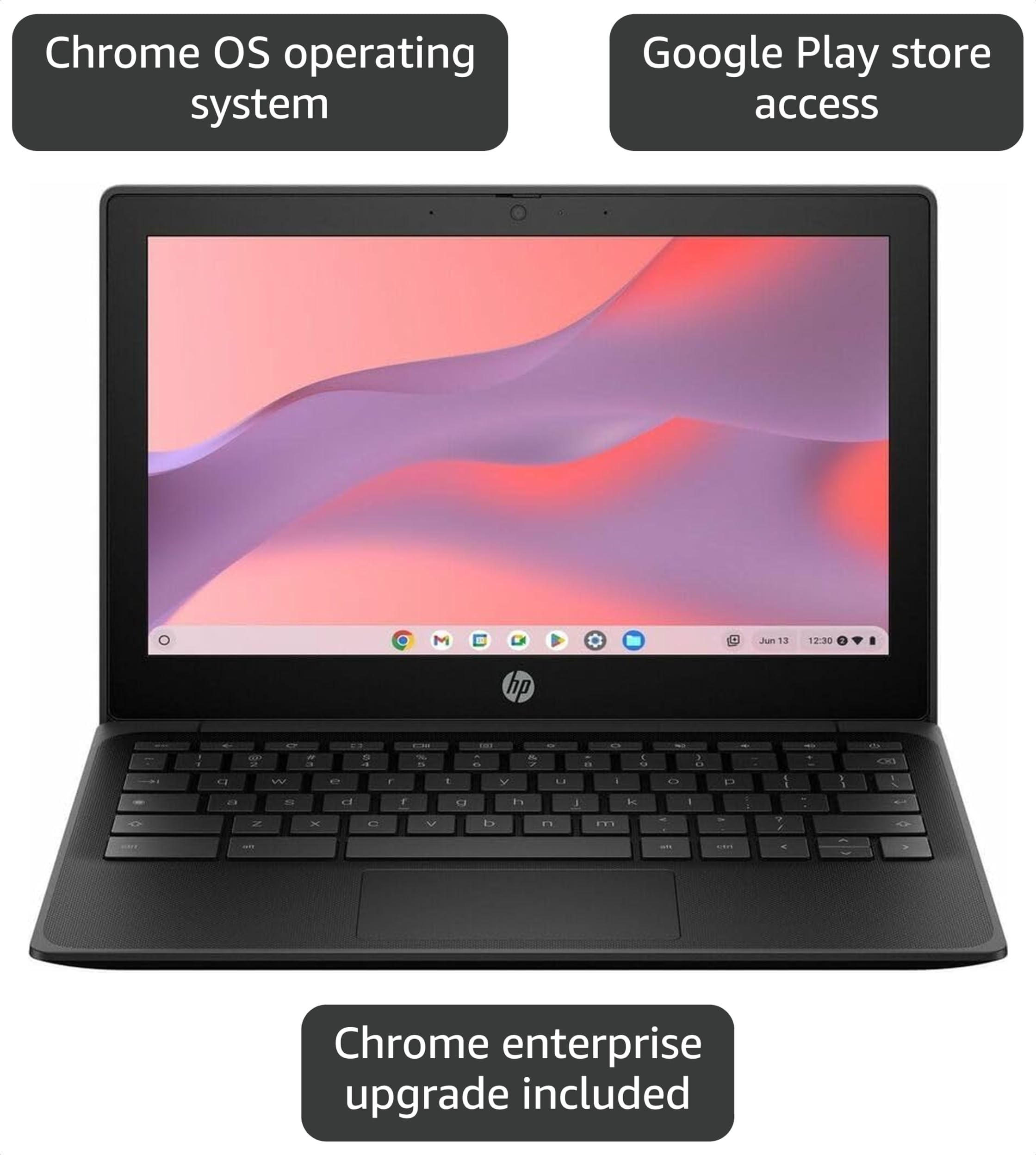 Amazon.com: HP Fortis G1m 11.6
