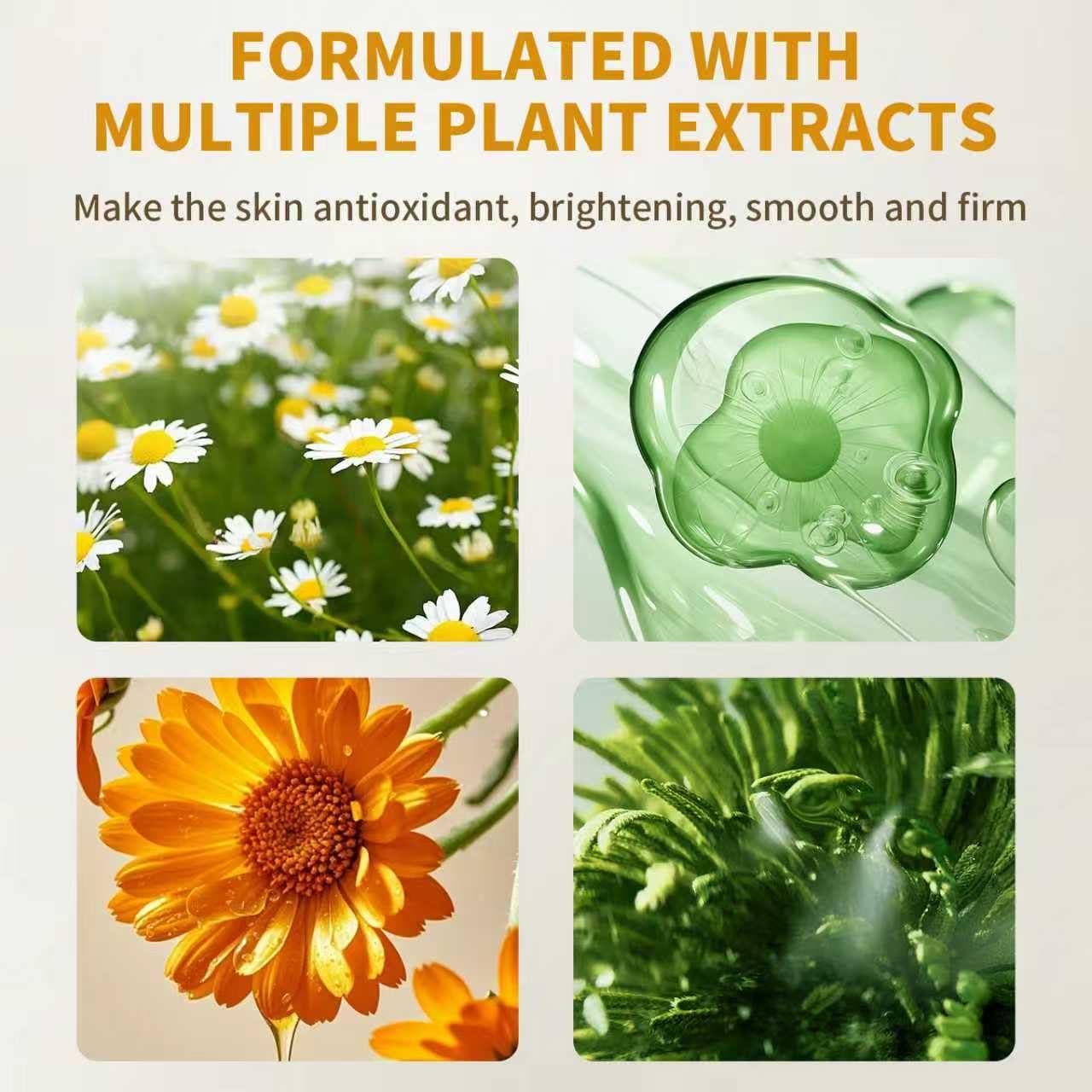 Face Oil with 21.7% ECOCERT Organic Squalane & Vitamin C - Plant-Based, Non-Greasy Facial Oil for Dry, Sensitive Skin - Anti-Aging, Brightening, Gua Sha Oil, 1 fl oz - Image 8