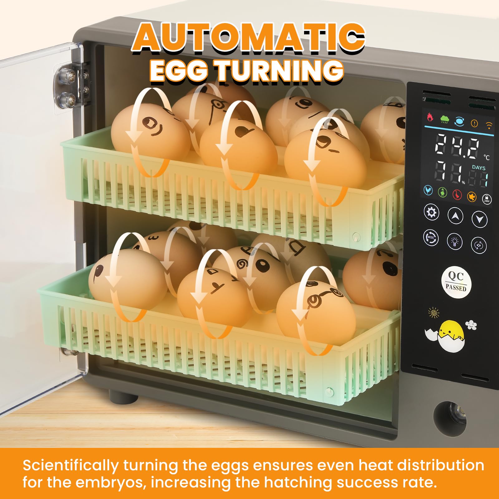 Incubadoras de gabinete para incubar huevos, incubadora de 24 huevos | Giro automático, control de temperatura y humedad, pantalla de temperatura, para pollo, pato, codorniz, ganso, paloma