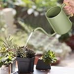 Arrosoir pour plantes d'intérieur, pot en métal en acier inoxydable de 35 oz/1000 ml avec bec long pour plantes d'intérieur, bonsaïs, fleurs de jardin décoratives (vert saga)