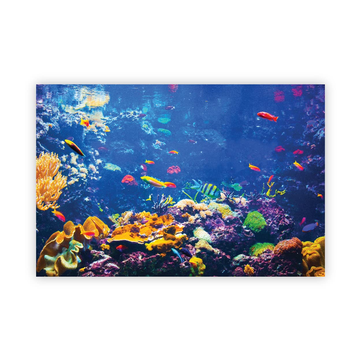 VVWV® Fish World Aquirium Background Stickers Fish Tank Waterproof Vinyl Printed Sticker Multicolored (76 X 46 CMS) (B0BW4F44SS) Amazon Price History, Amazon Price Tracker