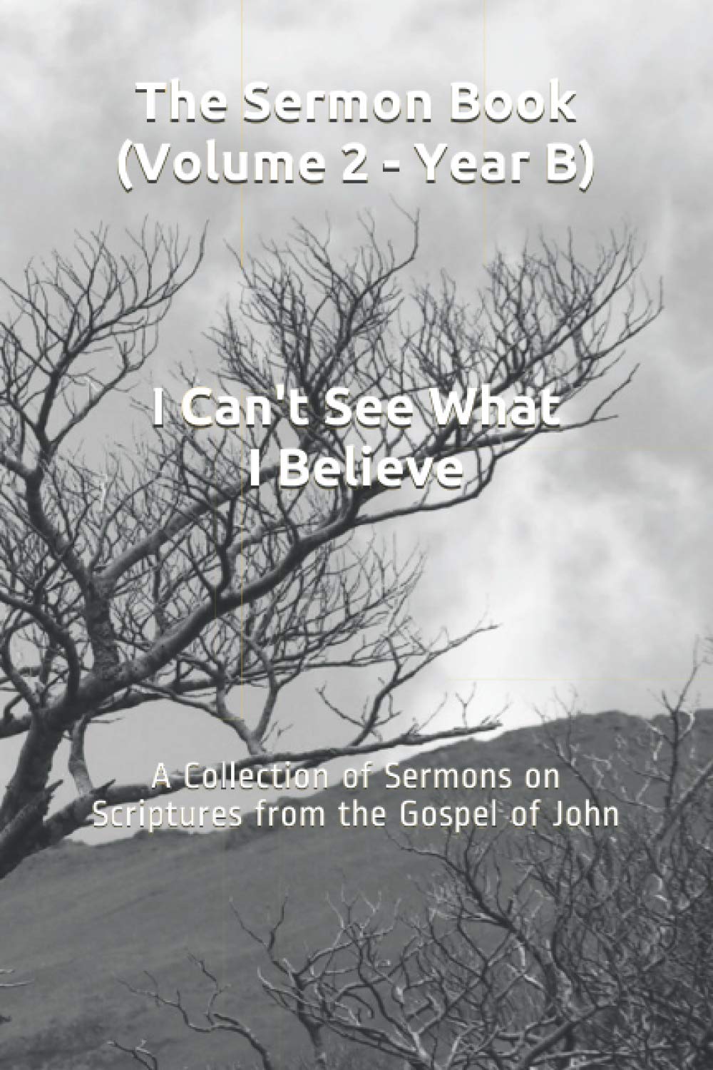 The Sermon Book (Volume 2 - Year B): A Collection of Sermons on Scriptures from the Gospel of John