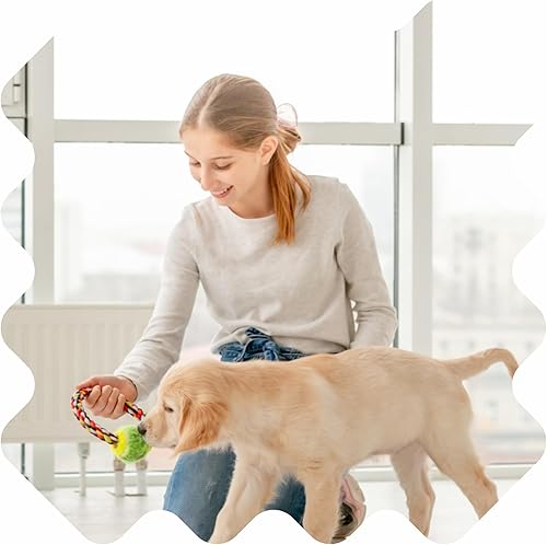 Miniatura 3 de NATPAT Training Aid - Calcomanías para mascotas, calcomanías calmantes de aceites esenciales naturales para perros y gatos, apoyo para el enfoque y