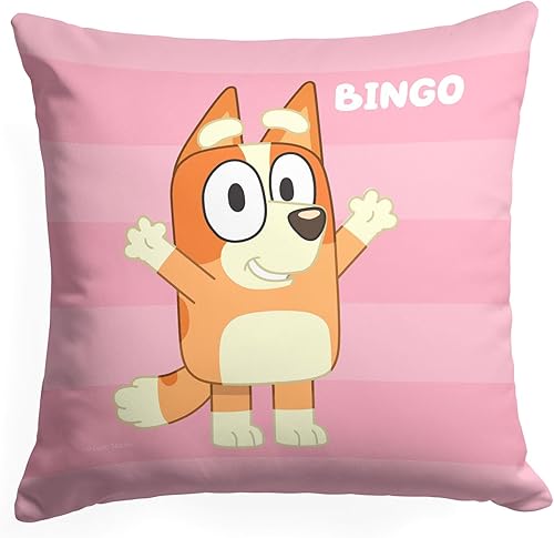 Northwest Bluey Pillow, 18" x 18", Roll Call Bingo