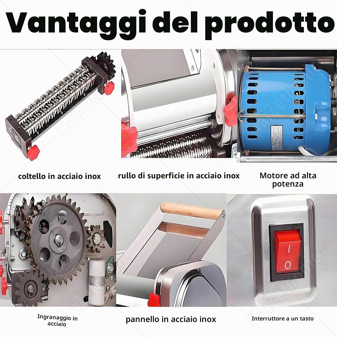Máquina eléctrica de acero inoxidable para pasta fresca y tagliatelle.