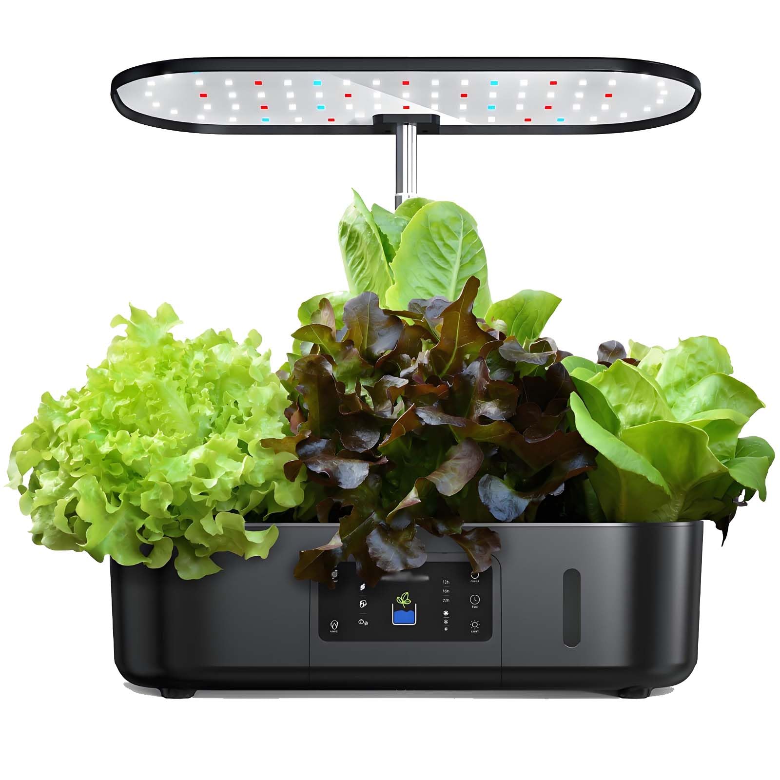 Kit de Jardinage hydroponique d'intérieur avec Lampe de Culture LED, Pot à arrosage Automatique, sans Terre, pour cultiver Toute l'année de la laitue, des légumes et des Herbes fraîches Black