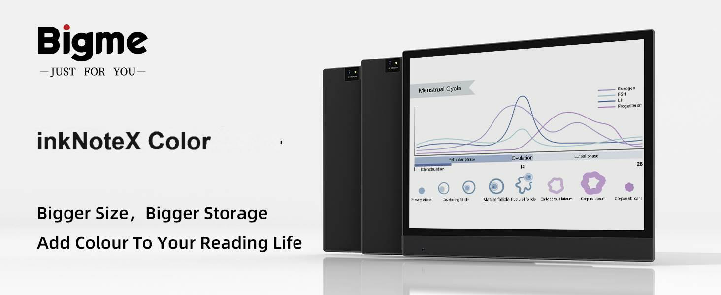Amazon.com: Bigme inkNoteX Color Eink Tablet Andriod 14 OS 6+128G