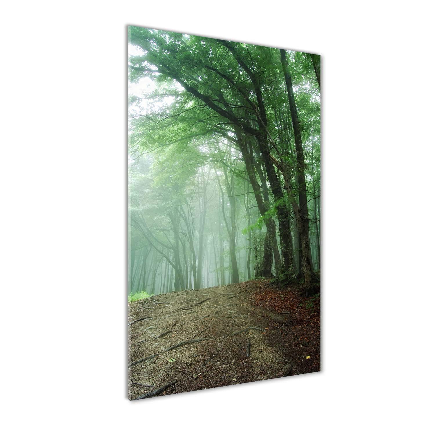 Tableau panoramique sur verre 60x120 cm - Paysage de forêt dans le brouillard vert