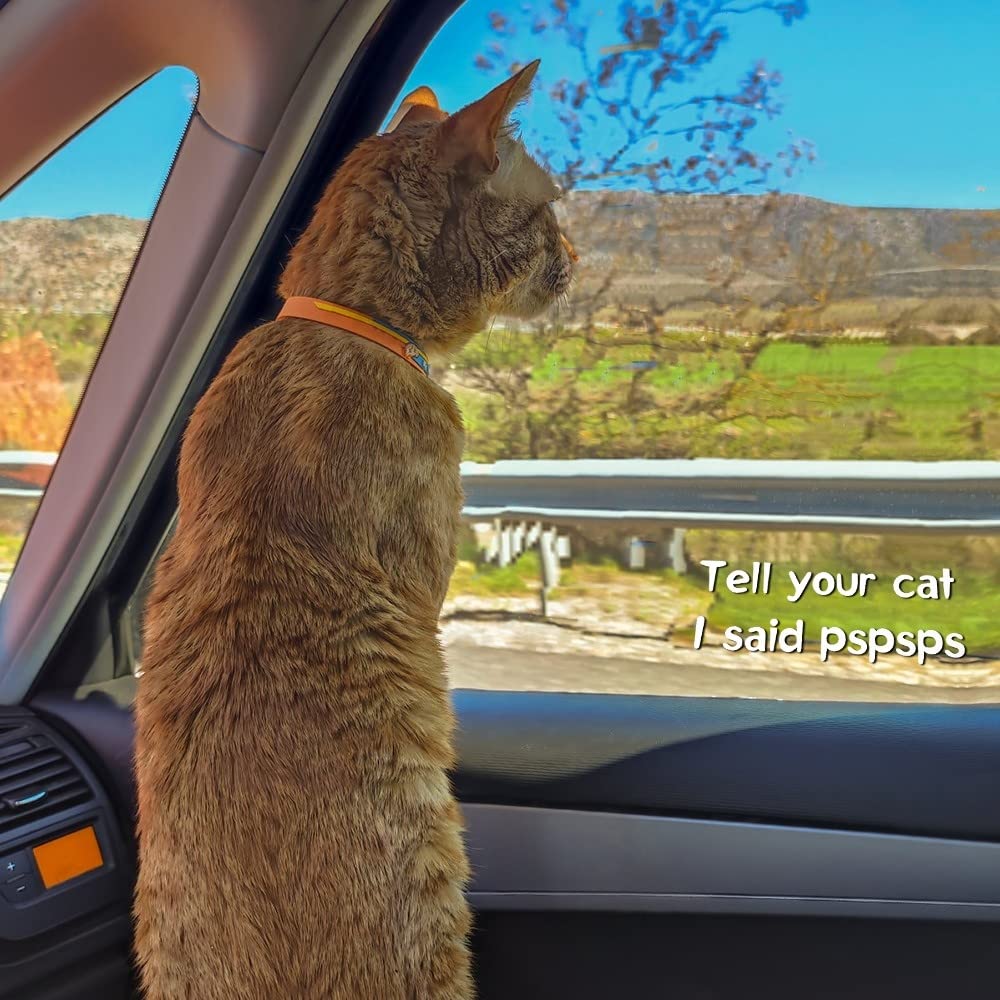 Adesivi per auto con gatto 3D, decalcomanie/adesivi per finestre, camion, auto on