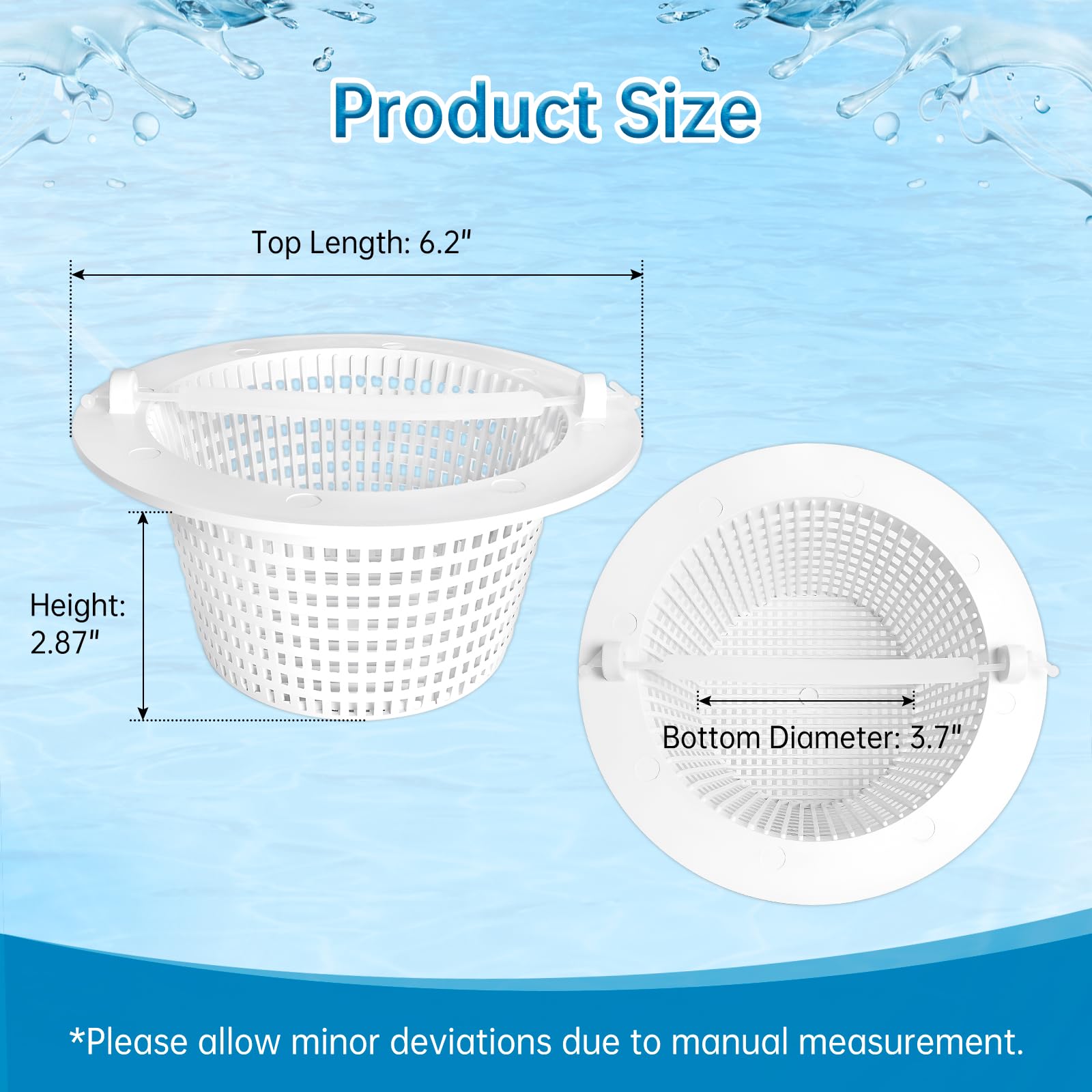 SPX1091K1 - Porta skimmer per piscina, compatibile con