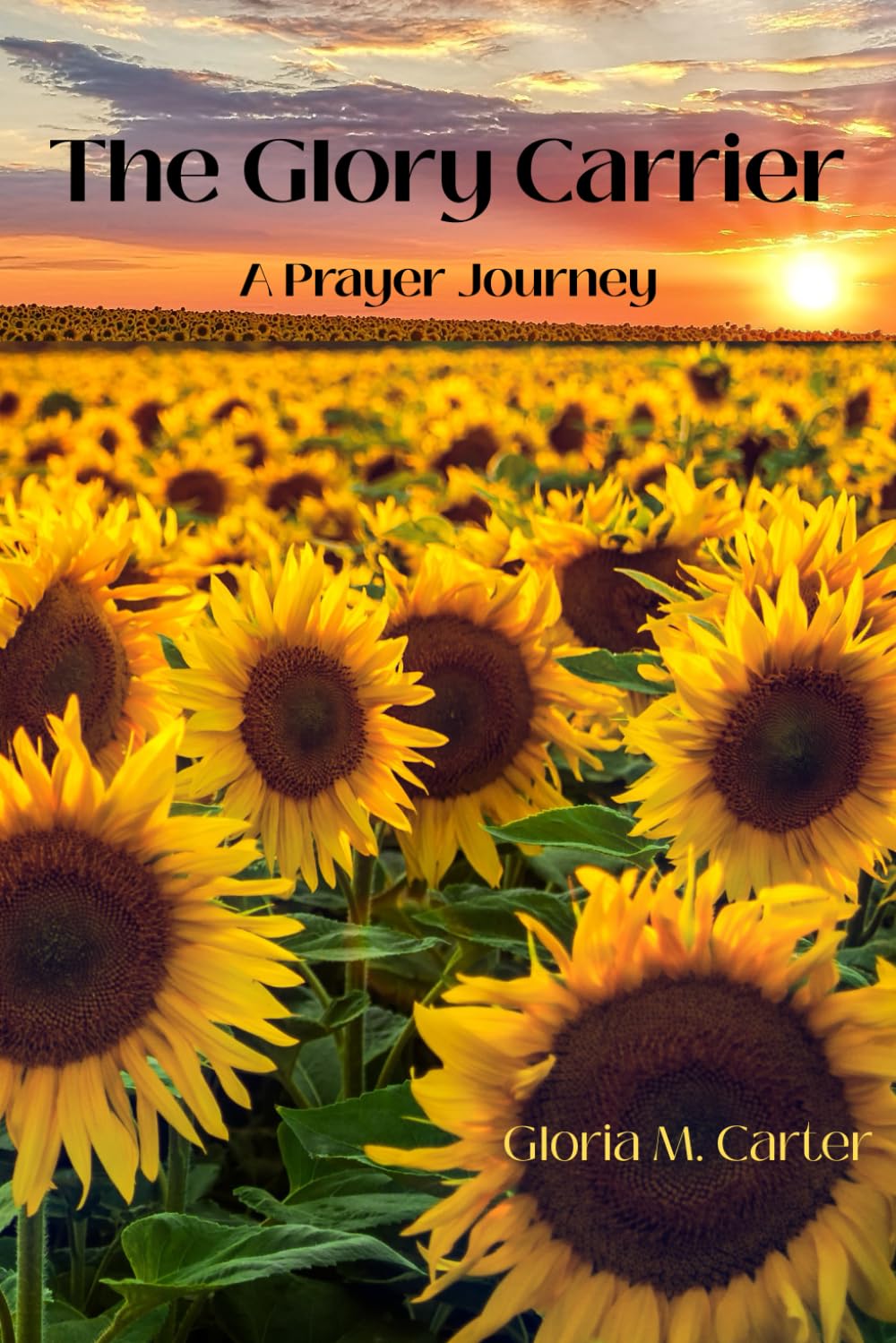 The Glory Carrier: A Prayer Journey