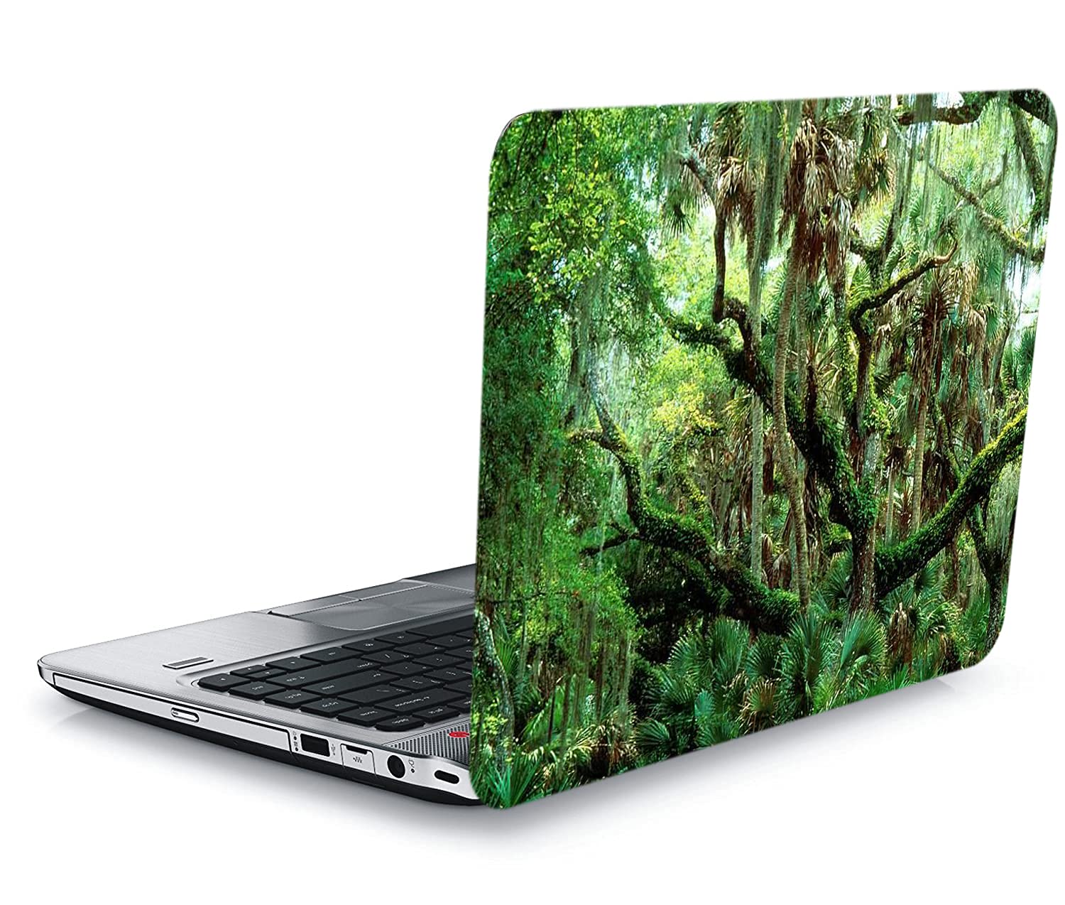 QTH Natural Laptop Skin Sticker Suitable Upto 15.5 INCH Laptop QTH-L2-0140 (B09LLN7NWD) Amazon Price History, Amazon Price Tracker