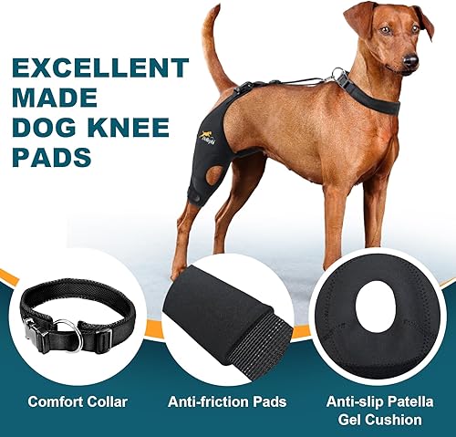 Miniatura 5 de Rodillera para perro para pierna trasera desgarrada del ligamento cruzado anterior, soporte para luxación de rótula u osteoartritis, lesiones