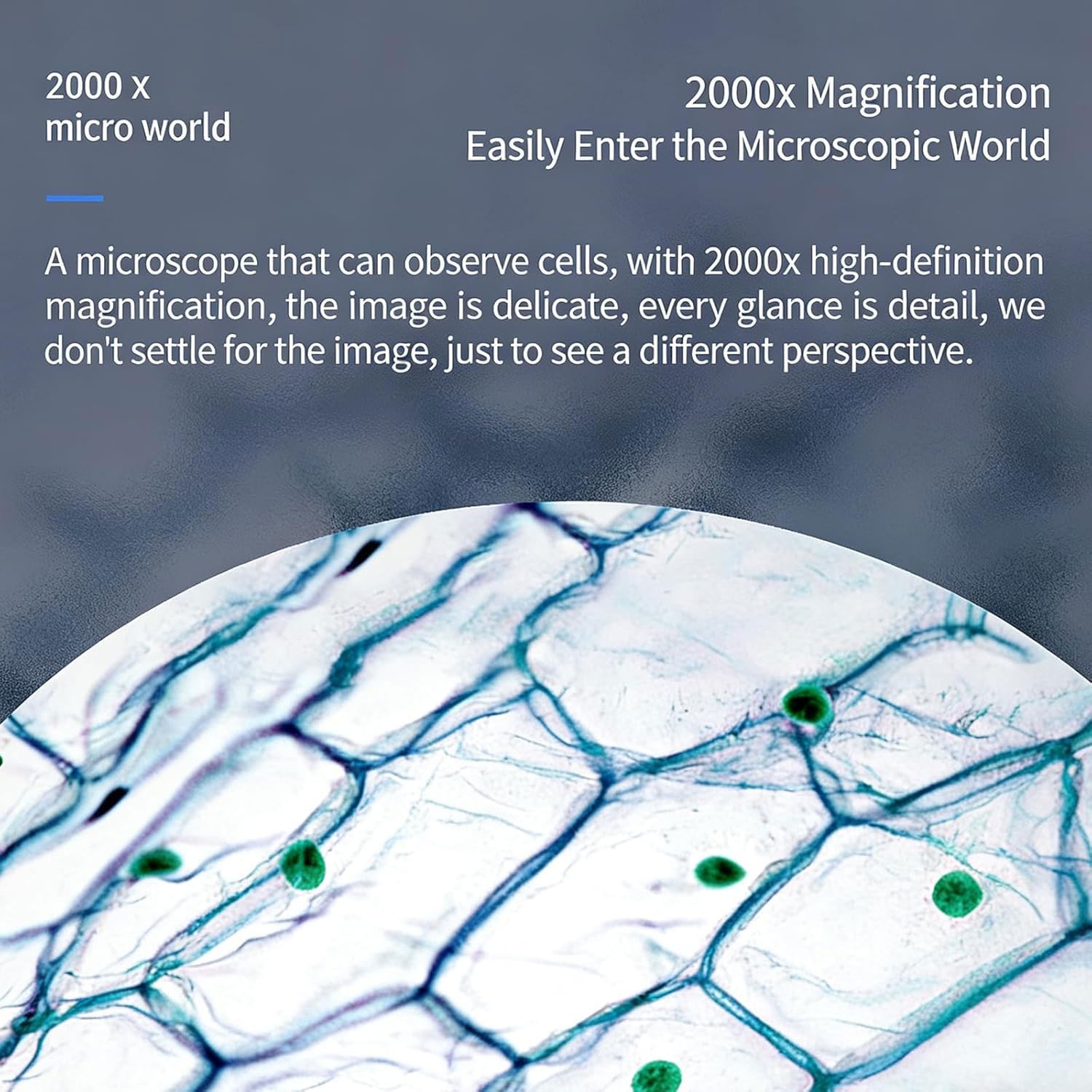 Microscopio biologico digitale 2000X, microscopio digitale a doppia lente, pixel da 5 megapixel, intervallo di misurazione 0-70 mm, 11 LED, compatibile con Windows e Mac OS, per biologia, scienza