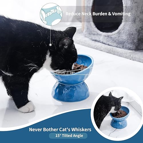 Miniatura 5 de TAMAYKIM Cuencos elevados de cerámica inclinados para gatos, juego de cuencos de comida y agua de 8 onzas para gatitos, plato elevado de porcelana