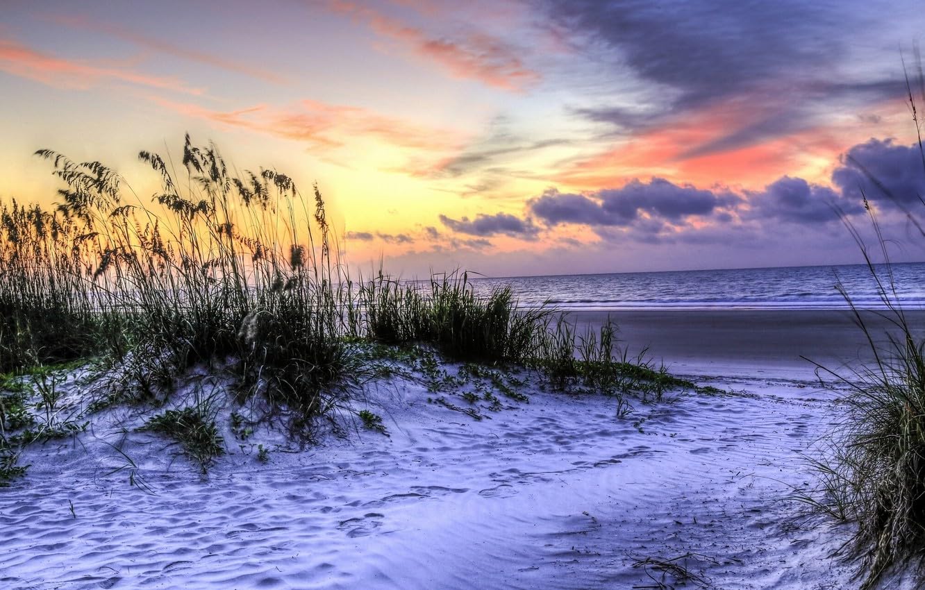 2000pc Premium Jigsaw Puzzle - Every Piece is Unique - Challenging Adult Family Fun Game, Beach, Coast, South Carolina, Atlantic Ocean, Hilton Head Island 70x100CM
