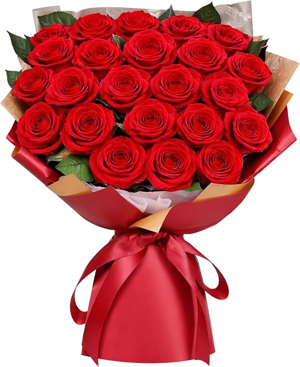 ADDWel Bouquet Rose Eternelle Cadeau Anniversaire Femme - Bouquet de Fleurs Éternelle Cadeau Saint Valentin Femme 24 Roses Rouges Stabilisées Cadeaux pour Epouse Maman Copine Noel Fete des Meres