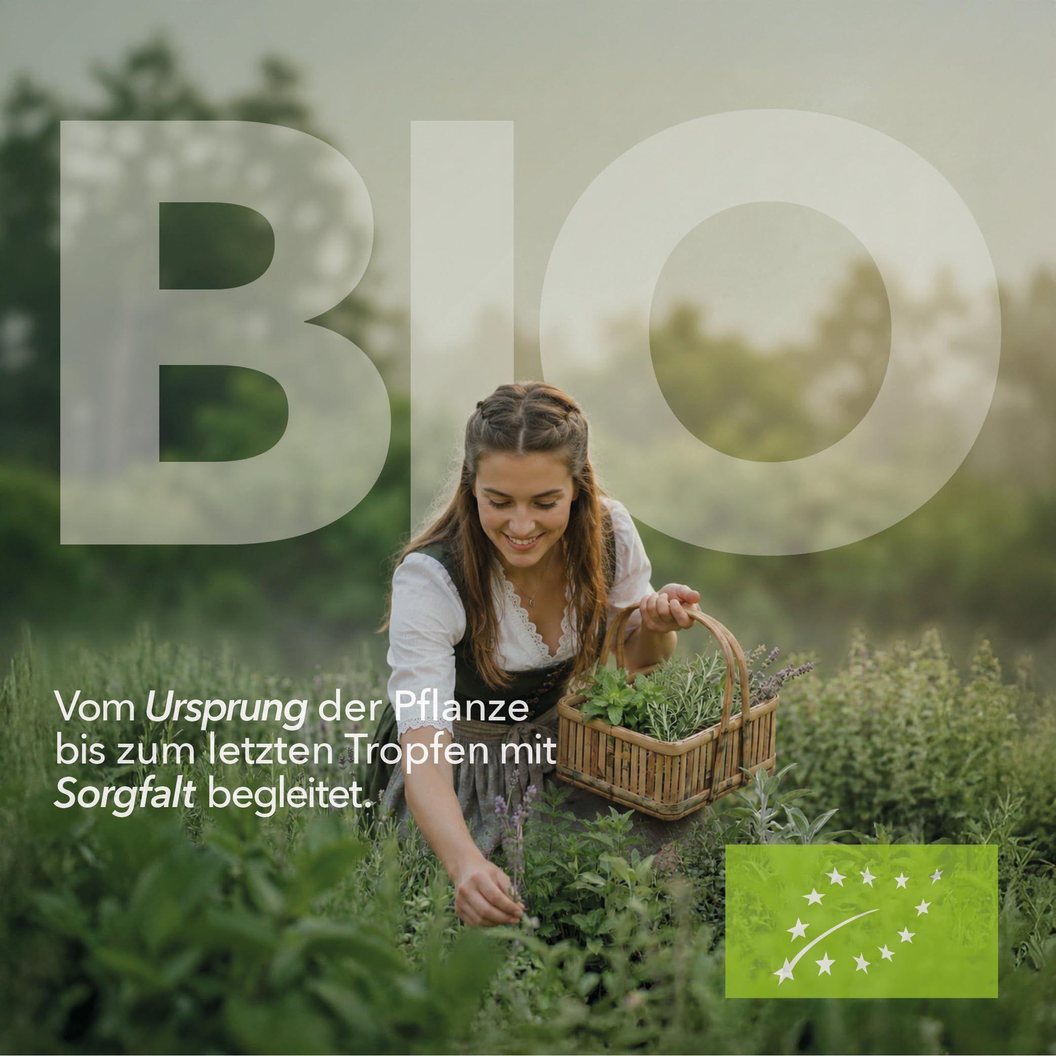 Propolis Tinktur Bio SAGRUSAN 100 ml – Bio Propolis Extrakt vegan aus biologischer Imkerei, alkoholischer Propolis Auszug naturreine Propolis Tropfen im Braunglas aus Österreich | 10 Jahre MHD