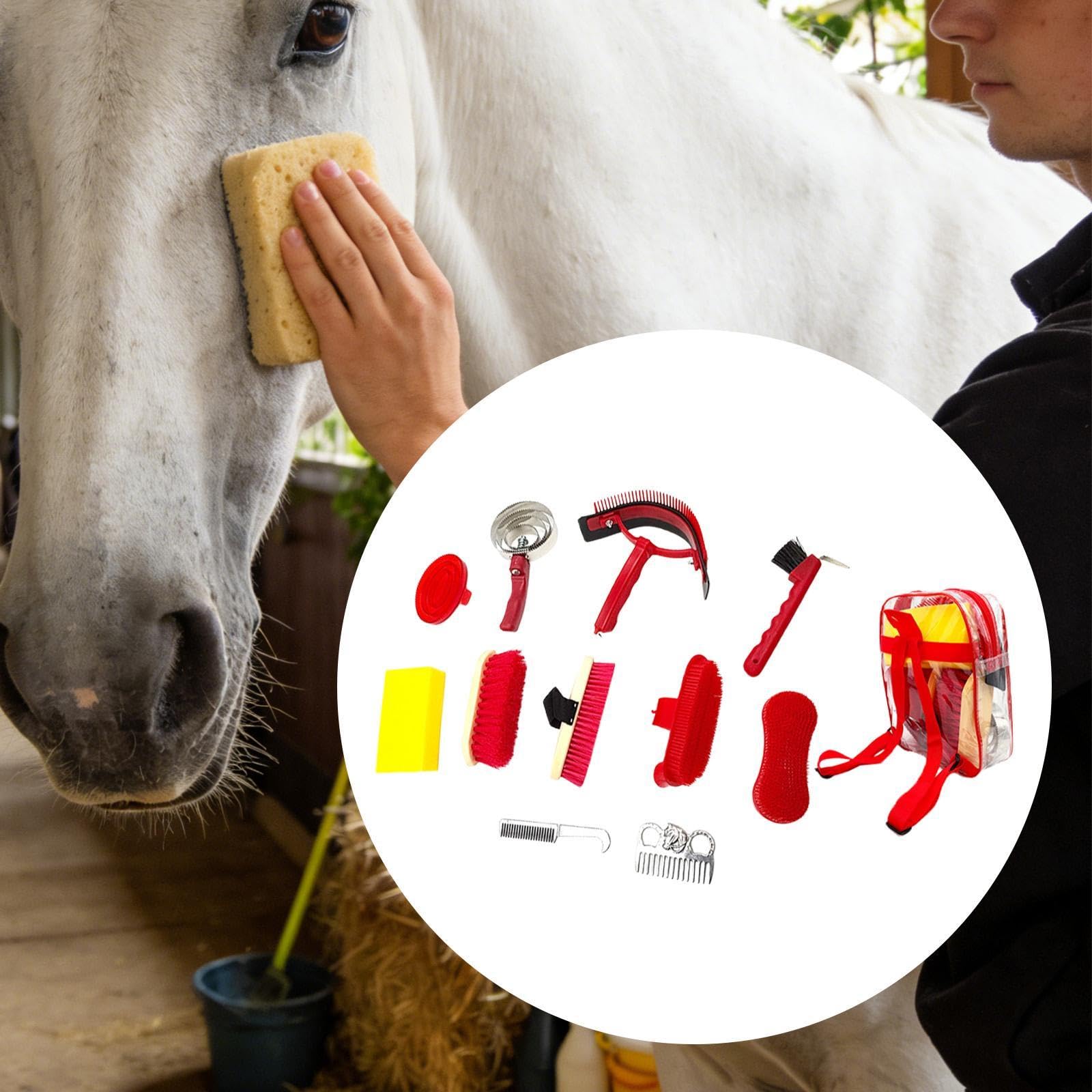 Kit de Aseo para Caballos de 11 Piezas, Regalo para Amantes de Los Caballos, Accesorios para de, Juego de Cepillos para Caballos