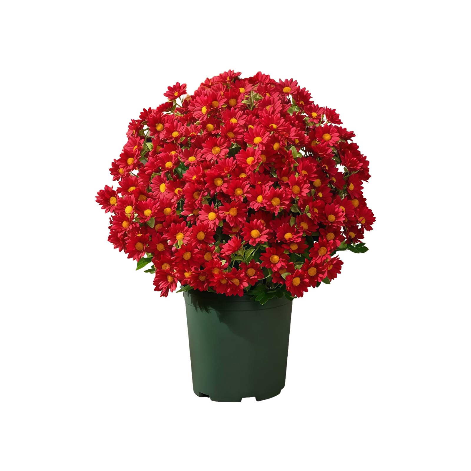 YROHGKPN Autumn Artificial Daisies Flowers Bouquet Imitation Chrysanthemums Decoration Weather-resistant Plant for Garden Artificial Flower Arrangements