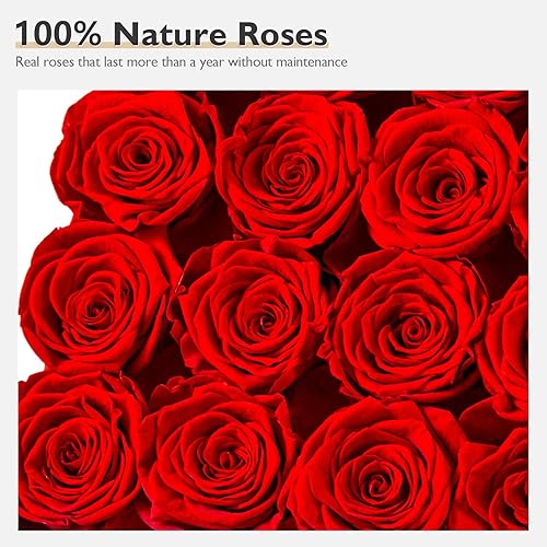 Miniatura 5 de Eterfield Rosas preservadas que duran un año, 16 piezas de rosas eternas en una caja, regalo para esposa, madre, día de la madre, día de San