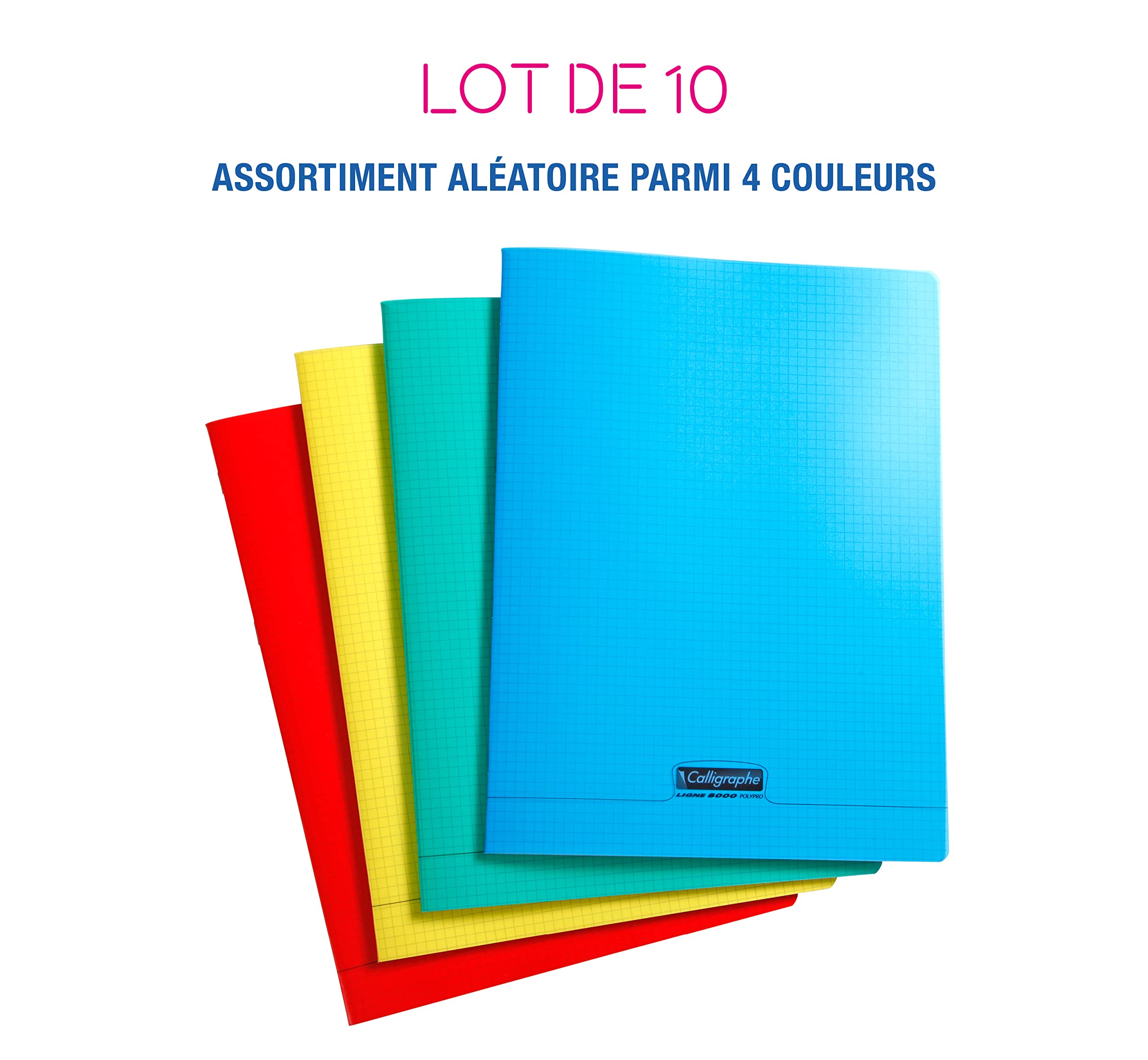 Calligraphe 18065C Lot 10 cahier agrafé 24x32cm 48p petits carreaux
