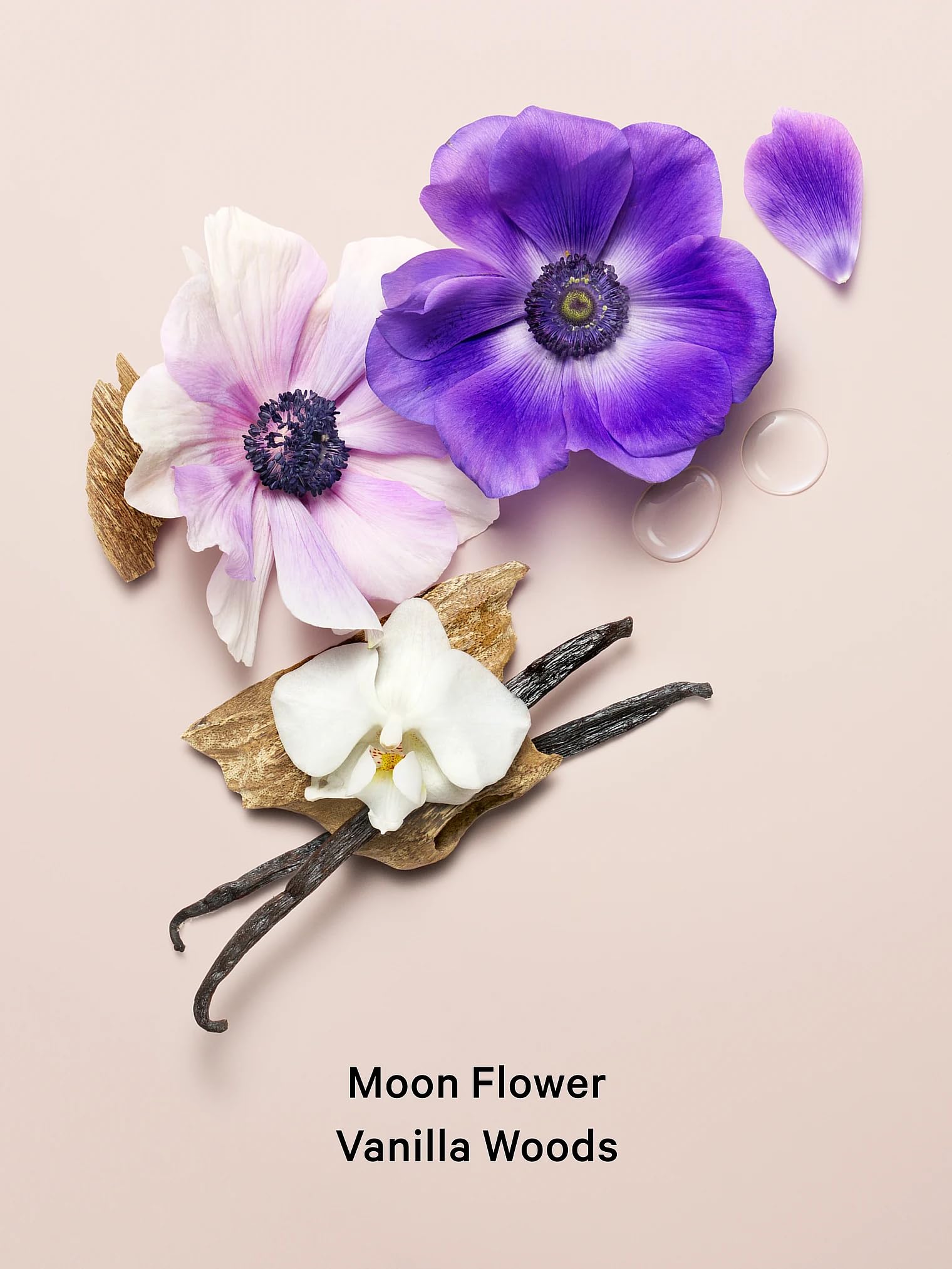 Victoria's Secret - Brume Pour Le Corps 250ML Original - Midnight Bloom
