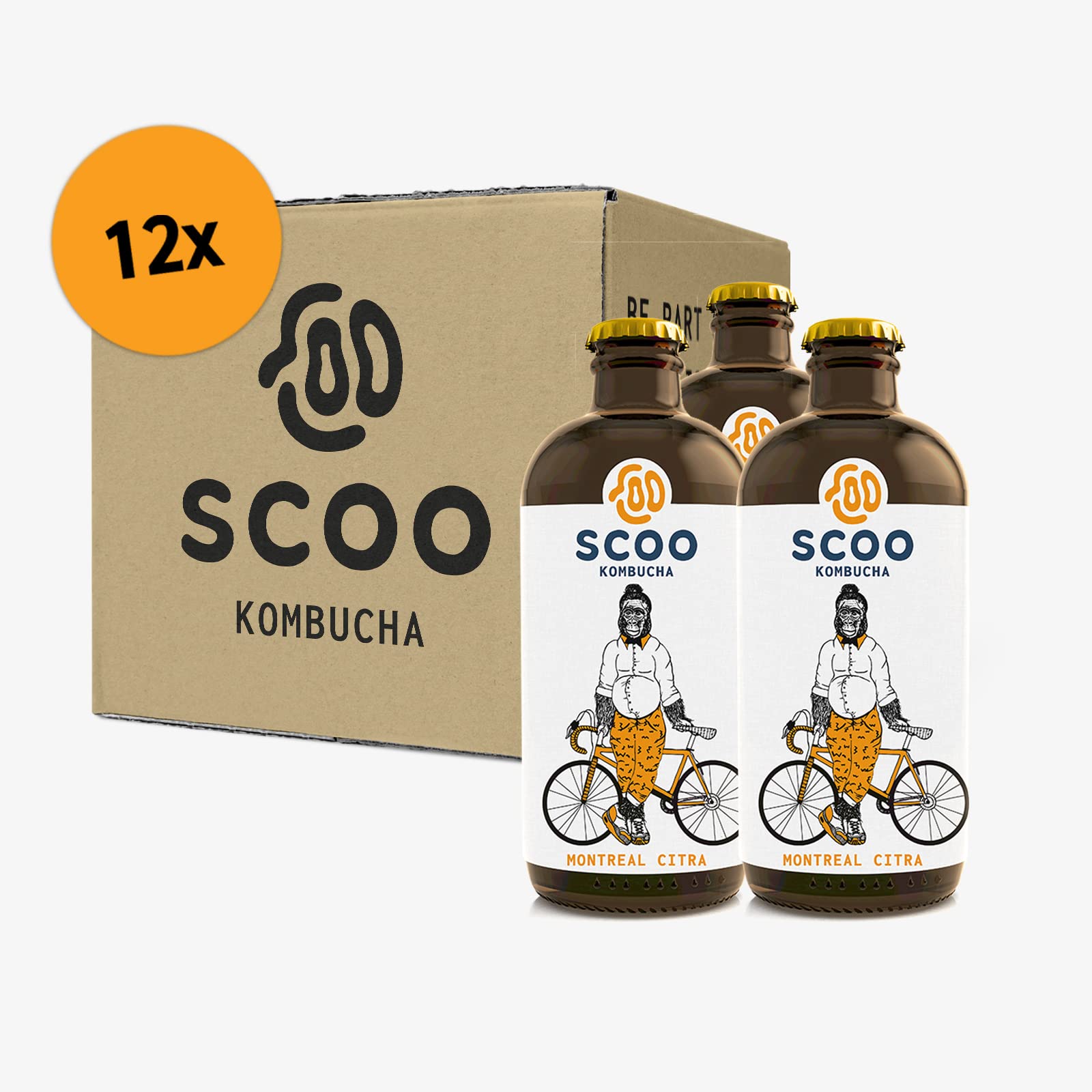 Scoo Kombucha Montreal Citra - 12 Flaschen 330 ml Bio Kombucha Tee unpasteurisiert