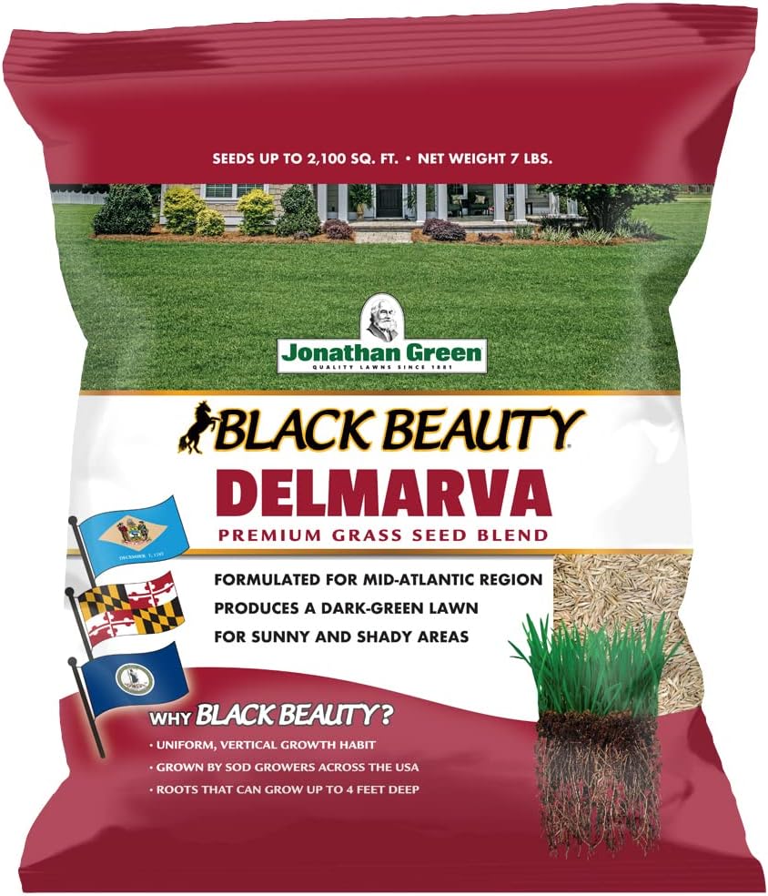Jonathan Green (10391) Black Beauty Delmarva Grass Seed (Made for Maryland, Delaware, Virginia) - Cool Season Lawn Seed (7 lb)
