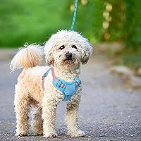 Vista 9 de BARKBAY Arnés para Perro Sin Tirones Talla Grande Arnés Reflectante para Perro con Clip Frontal y Asa de Control Fácil para Caminar Entrenar Correr