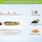 Ver la foto 3