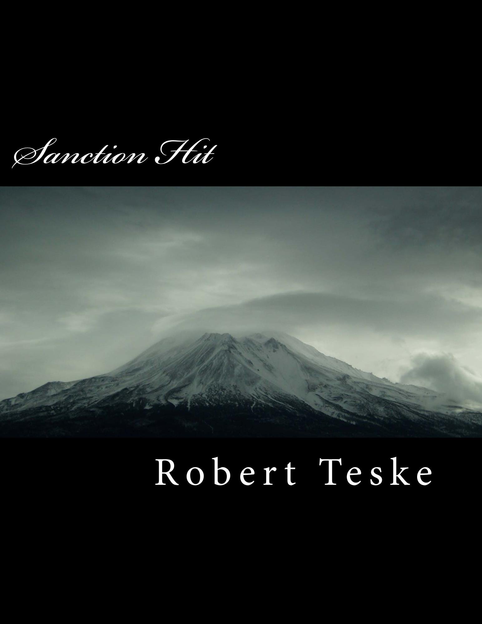 Sanction Hit English Edition livre broché thriller suspense en anglais