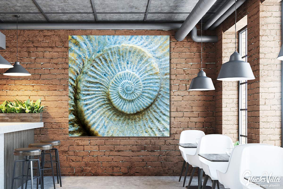 Glücksvilla - Unendlichkeit (Leinwand-Bild 5 cm, 120 x 120 cm) | div. Maße - aus DE - Kunstdruck XXL Deko Wandbild Quadrat - Muschel Schnecke Versteinerung Fossilien