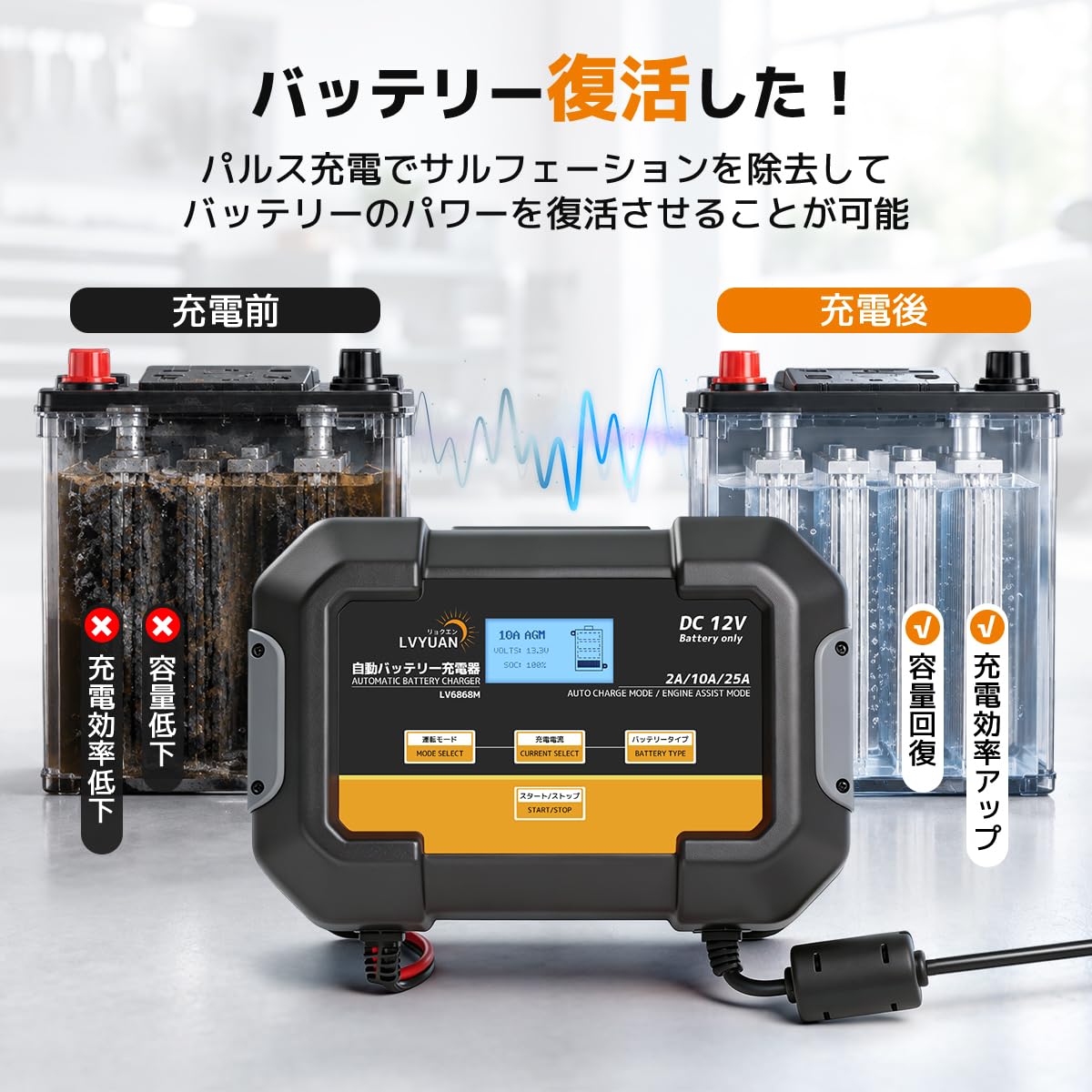 Amazon | LVYUAN（リョクエン）25A DC12V 全自動パルスバッテリー充電
