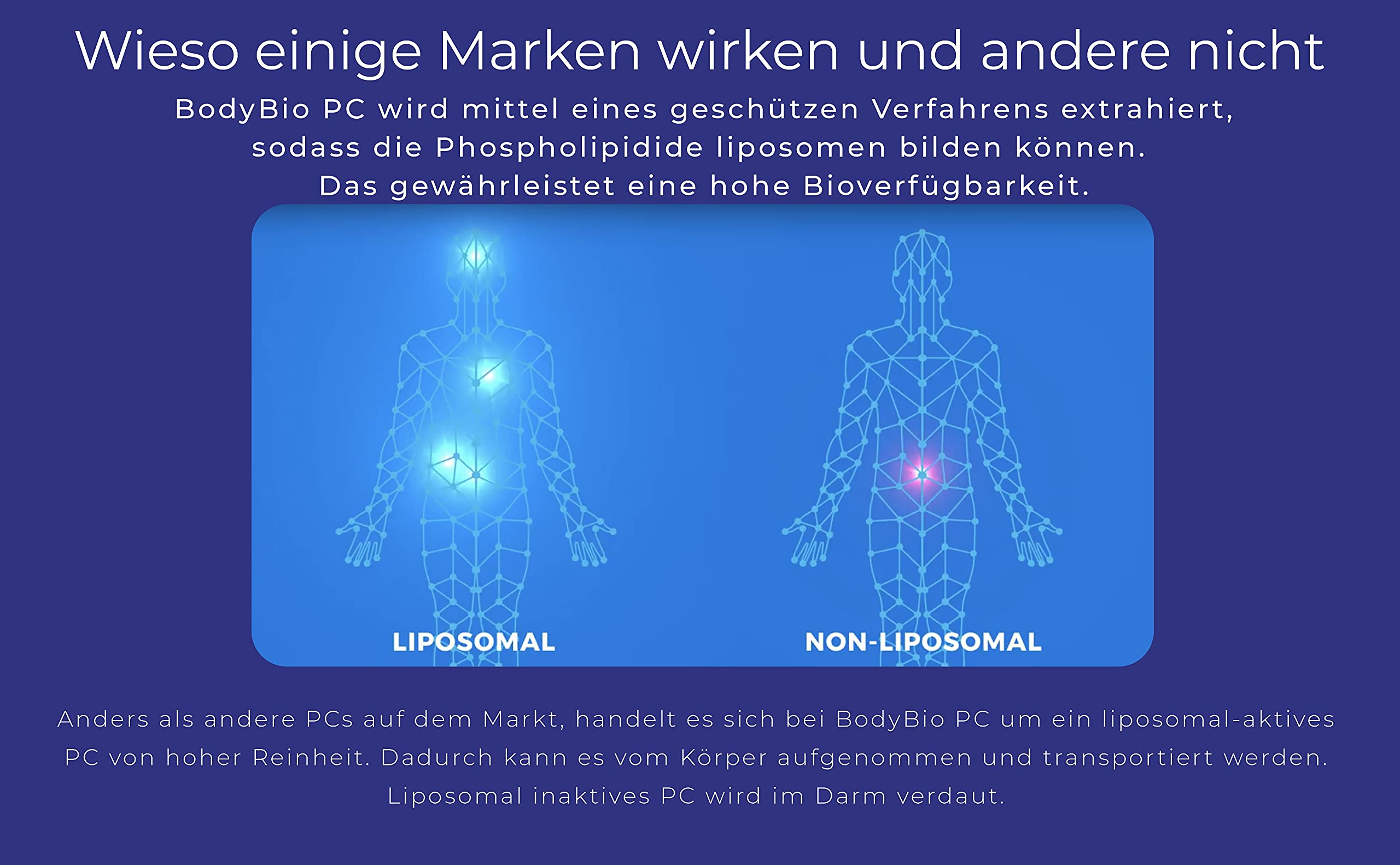BodyBio PC Phospholipidkomplex liposomal 237ml (Phosphatidylcholin und andere Phospholipide)