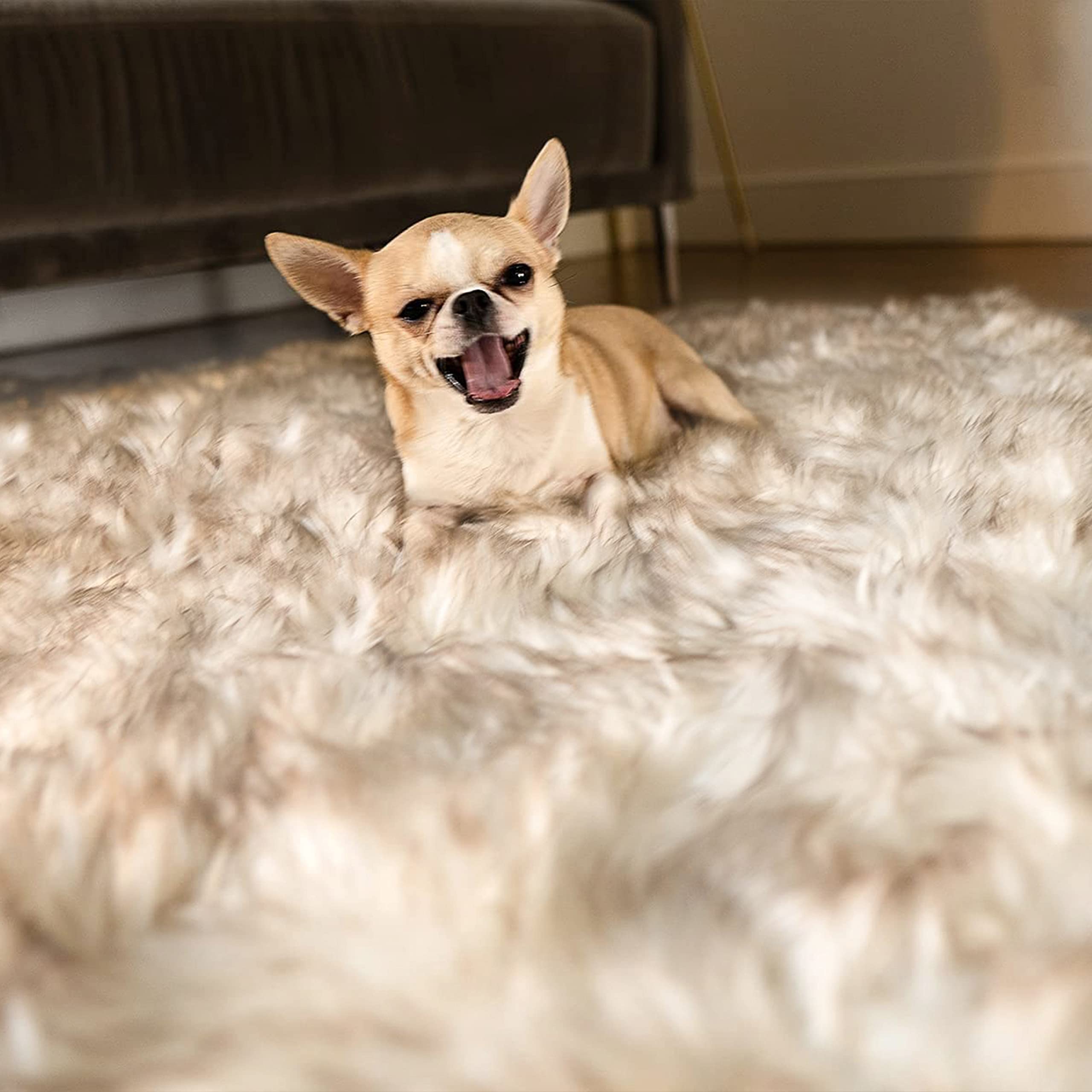 Waterproof Dog Blanket, Plush Throw for Sleeping, Whelping, and Comfort, Pet Fur, Bed, Car, Couch, and Furniture Protection with Soft, Stain Resistant Surface, Machine Washable 60x50