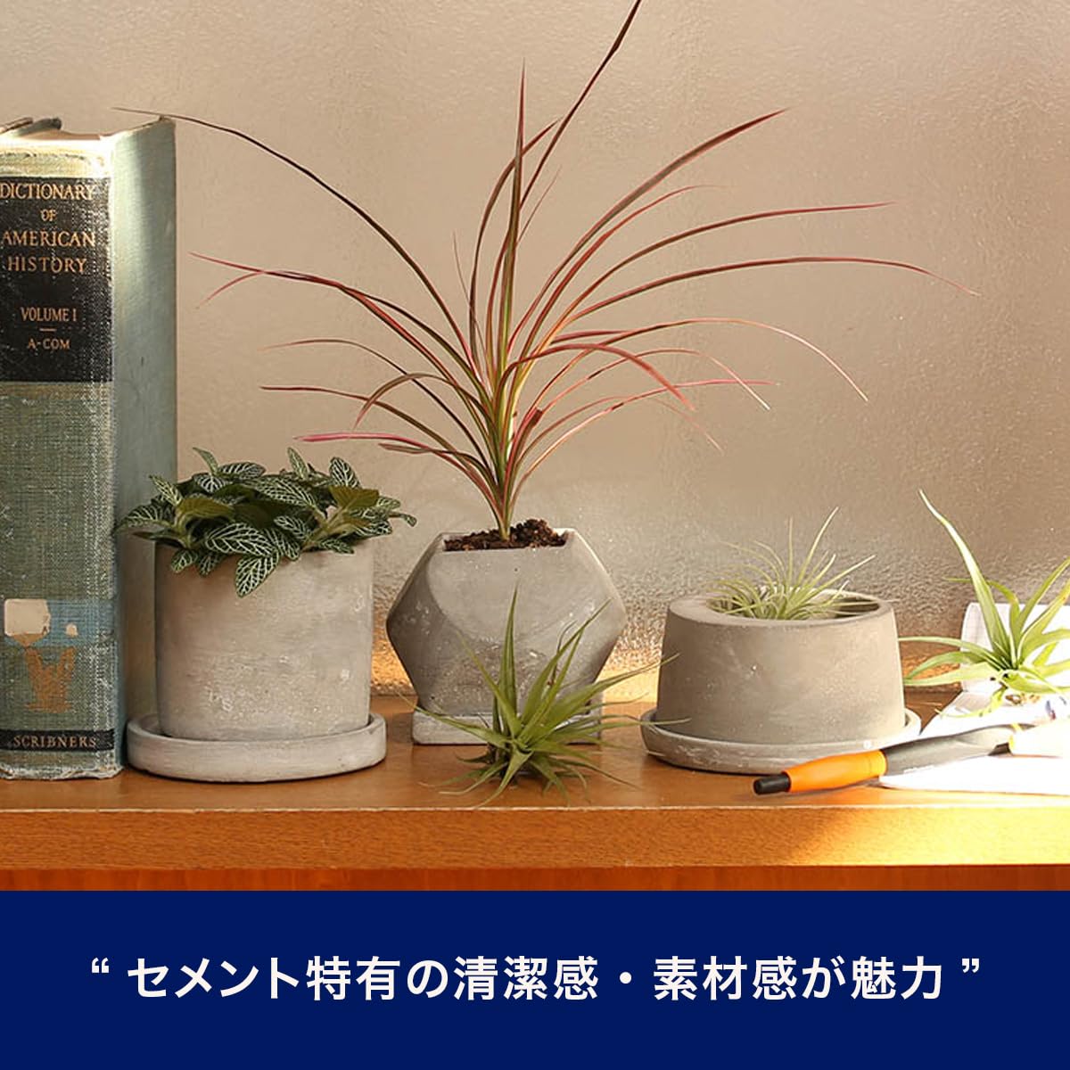 Amazon | ダルトン(Dulton) プランター セメント ポット Mサイズ
