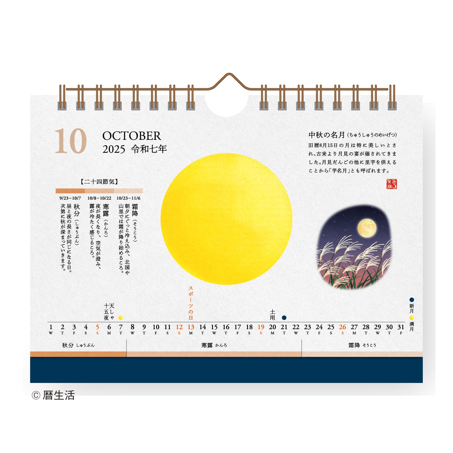 Amazon | 新日本カレンダー 2025年 カレンダー 卓上 月と暦
